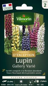 Lupin Gallery - Graines d'Exception